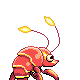 shrimps_back.png